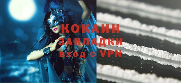 шишки Коряжма