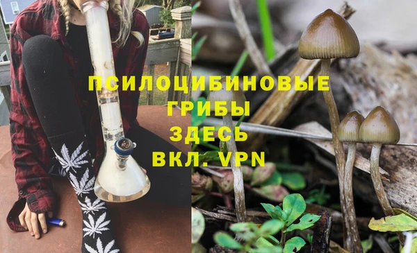 мескалин Киреевск