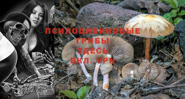 mdpv Кинешма