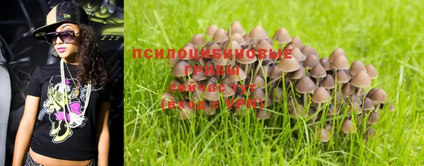 не бодяженный Козельск