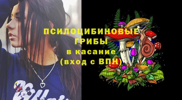 мдпв Костерёво