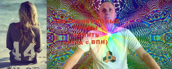 spice Киренск