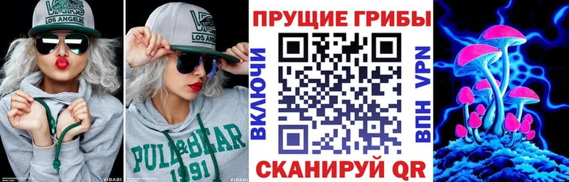 Псилоцибиновые грибы GOLDEN TEACHER  где продают наркотики  Славгород 