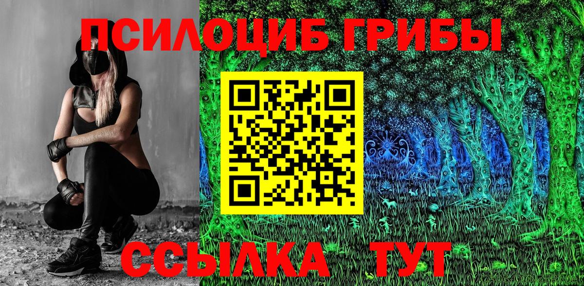 Галлюциногенные грибы Psilocybe  Вход с VPN  Славгород  Галлюциногенные грибы прущие грибы 